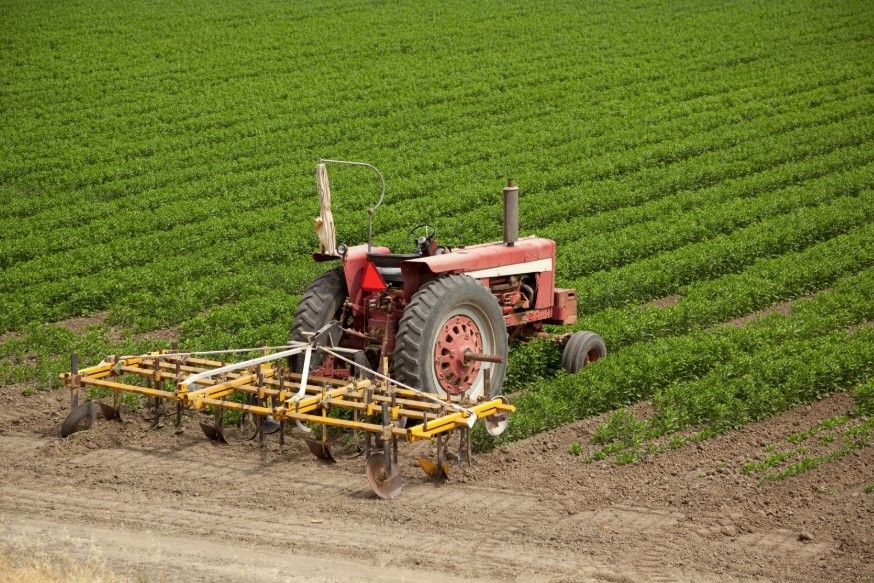 US Farms Open New Field of National Security